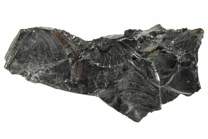 Lustrous, High Grade Shungite - Colombia #290900